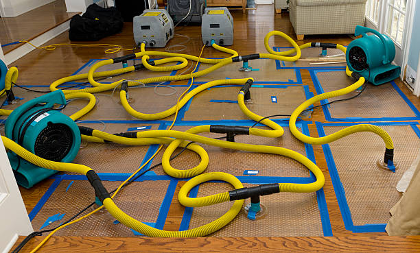 Professional Water Damage Restoration technician working in Laurel, FL